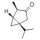 ALPHA-(-)-THUJONE CAS 546-80-5